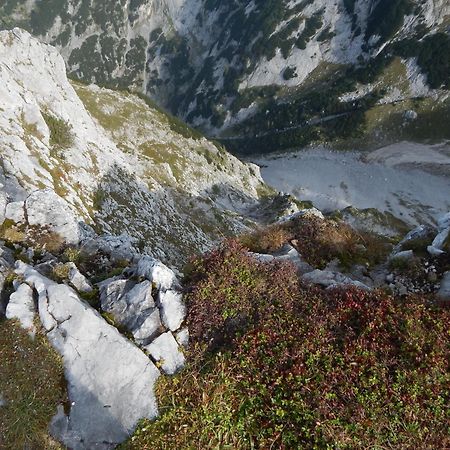 Appartement Bergblick Tauplitz Eksteriør bilde